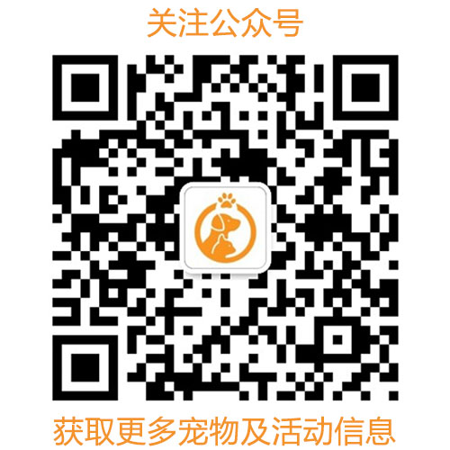 上海黑瑞肯科技有限公司公众号